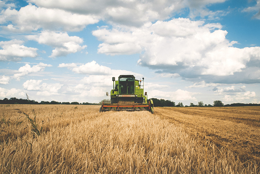 Harvester in field