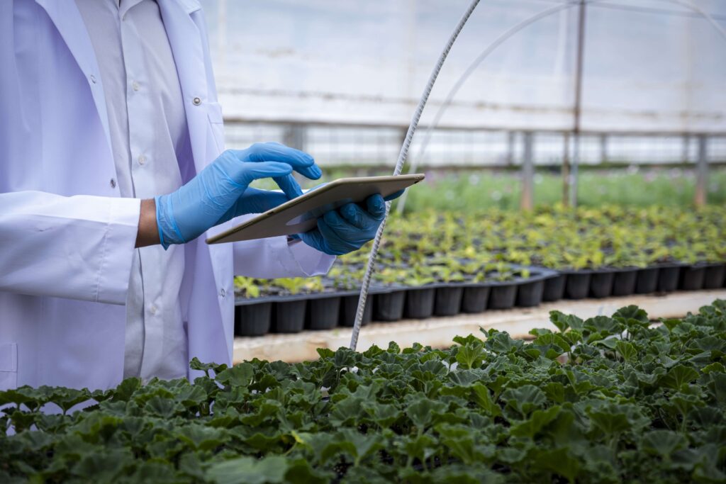 Agricultural scientist wearing lab coat and gloves using tablet in greenhouse inspecting seedlings, monitoring growth and development, and collecting data for research