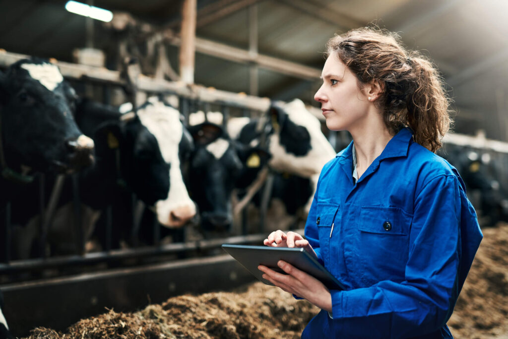 Shot of a young woman using a digital tablet while working at a cow farm